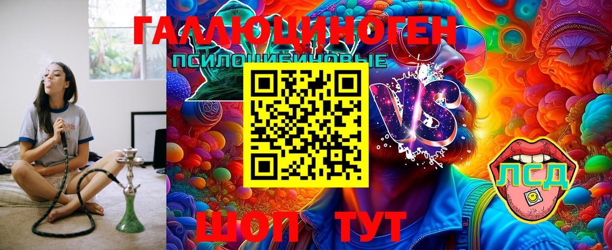 Елабуга  Галлюциногенные грибы Psilocybine cubensis  Вход с VPN 