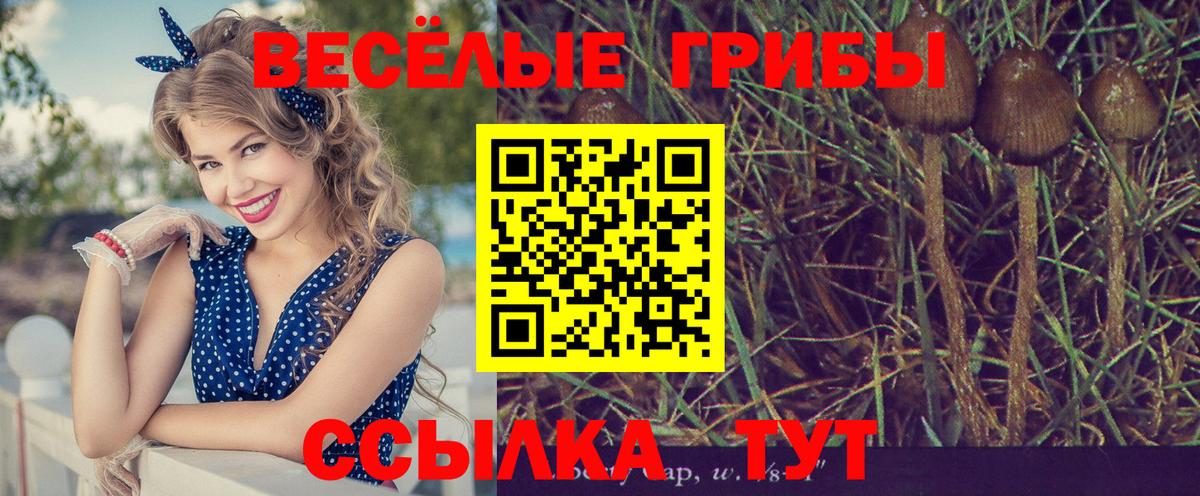  Cocaine Елабуга